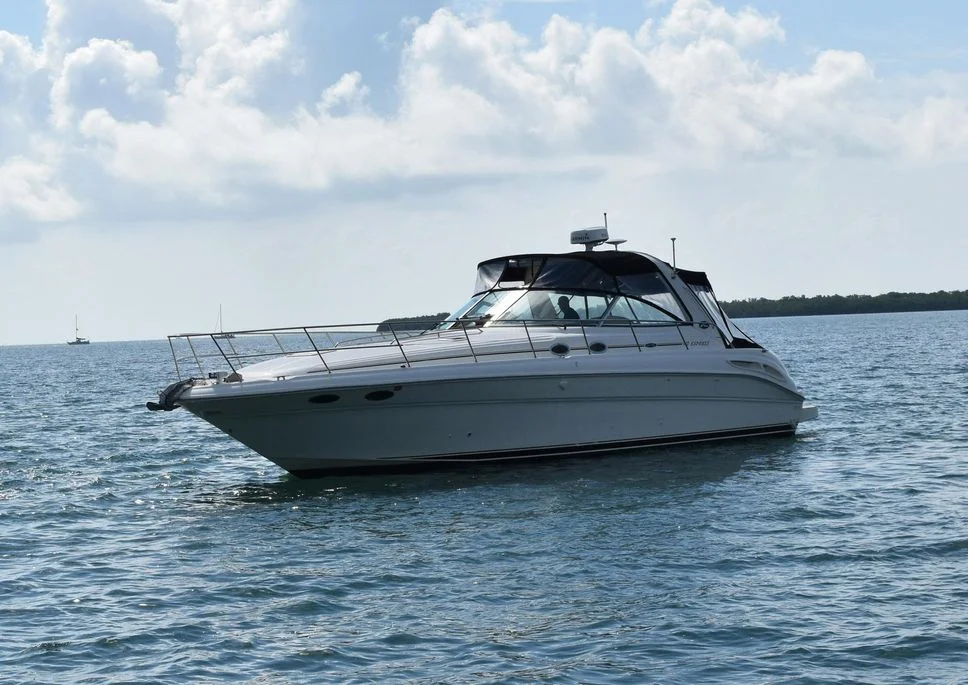 45’ Searay — Hollywood charter in Hollywood — photo 1